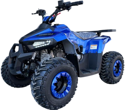Квадроцикл Yacota Raposa 110 куб.см. (синий)