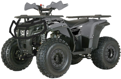 Квадроцикл Yacota Dragon One 125 (серый)