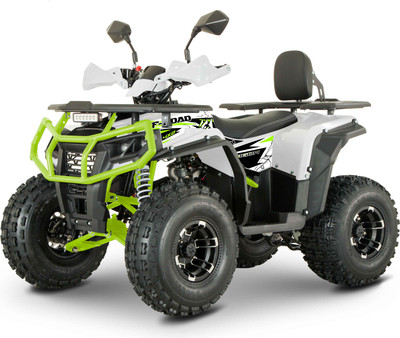 Квадроцикл Yacota Dragon Lux-LD 125 (белый)