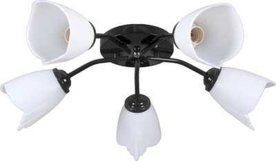 Люстра Lumix 1008/5-WT