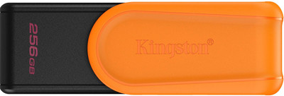 USB flash накопитель Kingston DTXS/256GB DataTraveler Exodia S