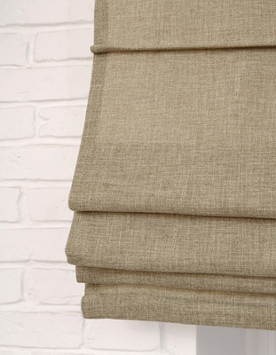 Римская штора Delfa Макси Burbes 549 СШД-02М 551/434 (160x180, бежевый)