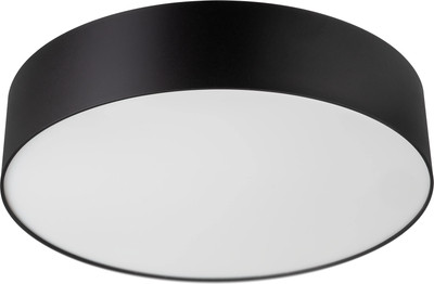 Потолочный светильник Citilux Bart CL755291