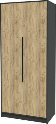 Шкаф Интерлиния Концепт КТ-Ш2 (дуб золотой/антрацит)