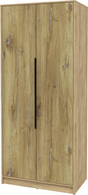 Шкаф Interline Концепт КТ-Ш2 (дуб нокс/дуб золотой)