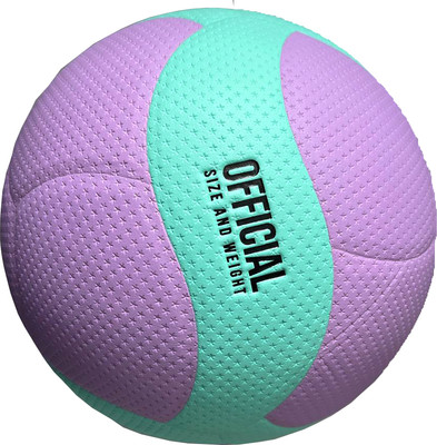 Мяч волейбольный Gold Cup NV-12 (синий/фиолетовый)