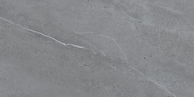 Плитка Керамин Ливерпуль 1 (600x300)