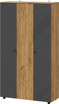 Шкаф Mio Tesoro Байкал трехстворчатый (дуб золотистый/графит)