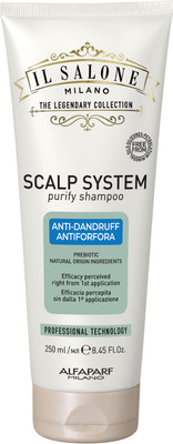 Шампунь для волос Alfaparf Milano Il Salone Milano Scalp System против перхоти (250мл)
