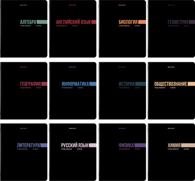 Набор предметных тетрадей Brauberg Классика Black / 405162 (12шт)