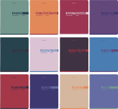 Набор предметных тетрадей Brauberg Vibe / 405163 (12шт)