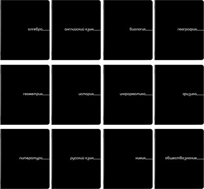 Набор предметных тетрадей Brauberg Black / 405164 (12шт)