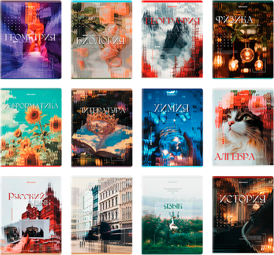 Набор предметных тетрадей Brauberg Illusion / 405171 (12шт)