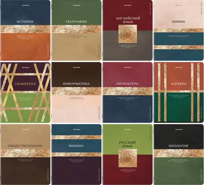 Набор предметных тетрадей Brauberg Goldy / 405178 (12шт)