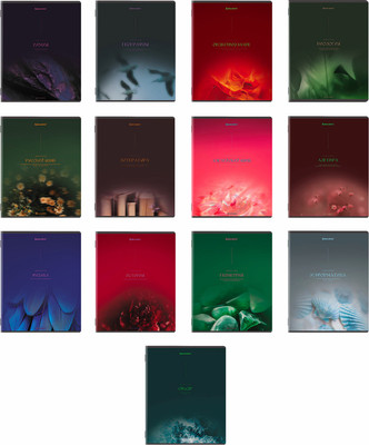 Набор предметных тетрадей Brauberg Peaceful / 405182 (13шт)