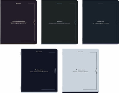 Набор предметных тетрадей Brauberg Vintage / 405188 (5шт)