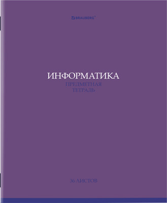 Тетрадь предметная Brauberg Колор. Информатика / 405075 (36л)