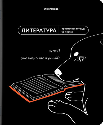 Тетрадь предметная Brauberg Мемы. Литература / 405104 (48л)