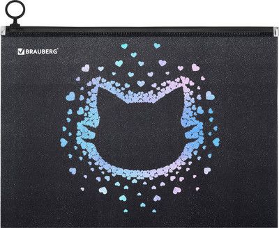 Папка для тетрадей Brauberg Pretty Face / 273319