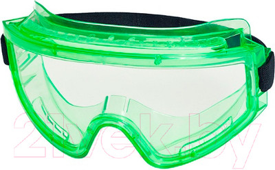 Защитные очки РОСОМЗ ЗН11 Panorama / 21111