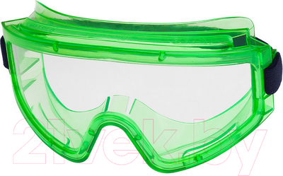Защитные очки РОСОМЗ ЗНГ1 Panorama / 22111