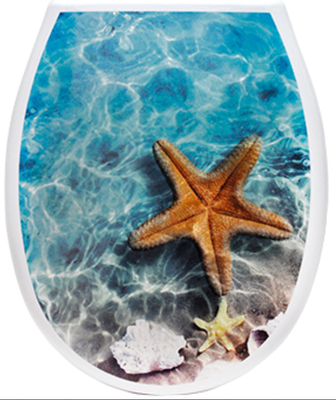 Сиденье для унитаза Еврокомфорт Океан Lux Морская звезда с детской накладкой 003740 (жесткое)