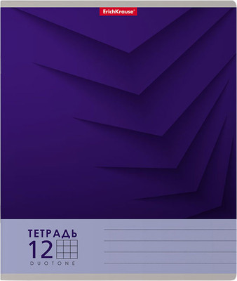 Тетрадь Erich Krause Duotone Next / 56294 (12л, клетка)