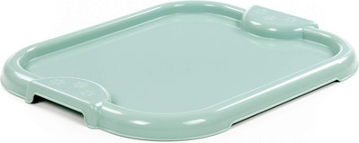 Поднос Полесье 05189 (бледно-оливковый)