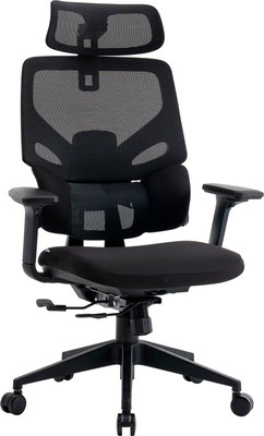 Кресло офисное Evolution LumbarPro