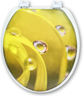 Сиденье для унитаза Еврокомфорт Океан В-31 103-311-01В31 (мягкое)