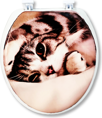 Сиденье для унитаза Еврокомфорт Океан В-35 103-311-01В35 (мягкое)