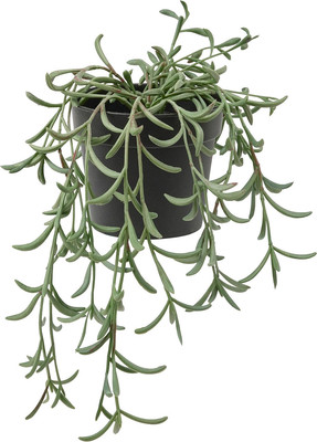 Искусственное растение Ikea Фейка 205.084.08