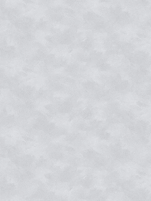 Виниловые обои Аспект 70655-42