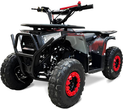 Квадроцикл Motax Grizlik Mini Ps Bw (черный/красный камуфляж)