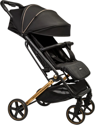 Детская прогулочная коляска Amarobaby Route / AB23-10ROUTE/0929 (черный/золото)