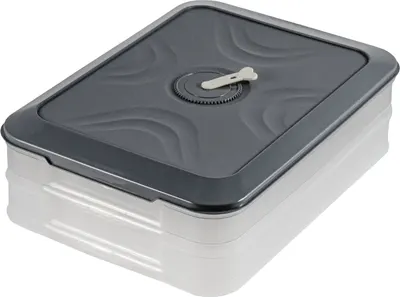 Контейнер Runis 300х205х80мм / 15-10 (графит)