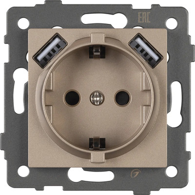 Розетка Arlight SCT-MUAA-PL-GD-V / 049821