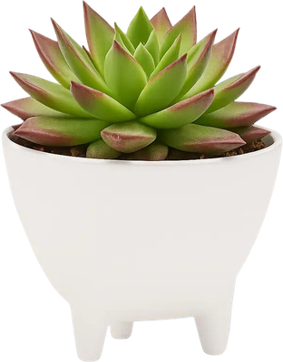 Кашпо BOTANICA Step (9.5x7см, белый)