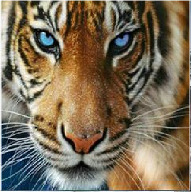 Набор алмазной вышивки Centrum Тигр / 87127