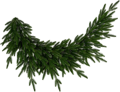 Искусственная ветка Max Christmas Хвоя Кассиопея / ВХК 160 (1.6м)