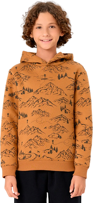 Худи детское Mark Formelle 123388 (р.116-60, горы на цвете орех)