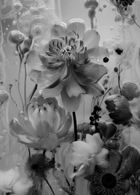 Картина на стекле Stamprint Цветы 1 SP038 (70х50см)