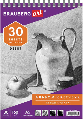Скетчбук Brauberg Art Debut / 110989 (белая бумага)