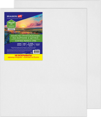 Набор холстов для рисования Brauberg Art Classic / 192655 (2шт)