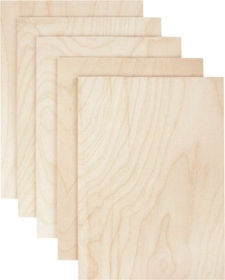 Набор заготовок для творчества Brauberg Hobby / 665313 (5шт)