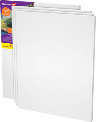 Набор холстов для рисования Brauberg Art Debut / 192512 (4шт)