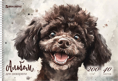 Альбом для рисования Brauberg Пудель / 116885 (40л)