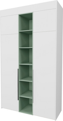Шкаф Рэйгрупп Рэй S262-В5-EBZ В5 (дуб элисон/белый премиум/зеленый самшит)