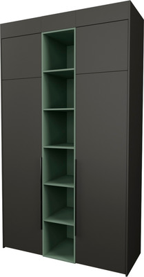 Шкаф Рэйгрупп Рэй S274-В5-WKZ В5 (дуб веллингтон/кобальт/зеленый самшит)