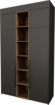 Шкаф Рэйгрупп Рэй S274-В5-WKW B5 (дуб веллингтон/кобальт)